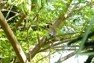 DSC_7888 (Large).JPG